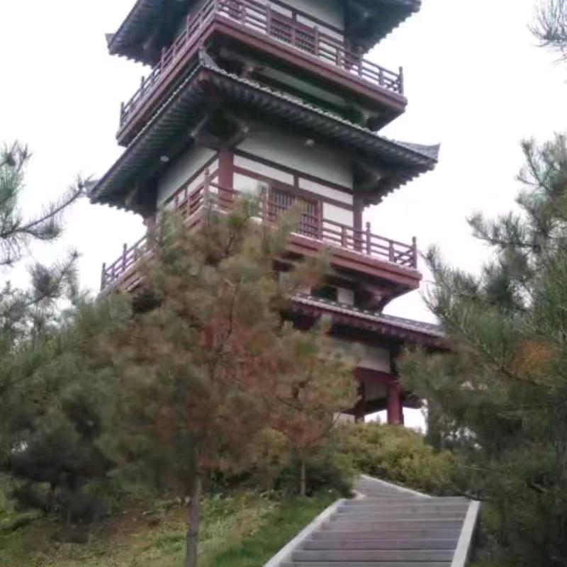水中石