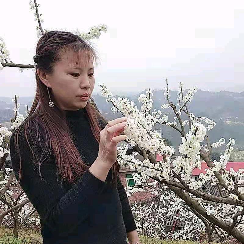春天的太阳