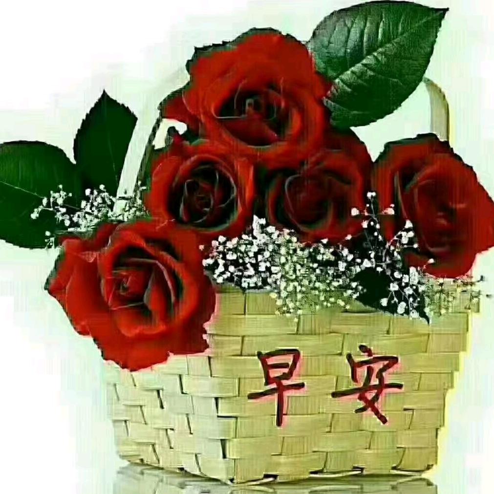 回亿