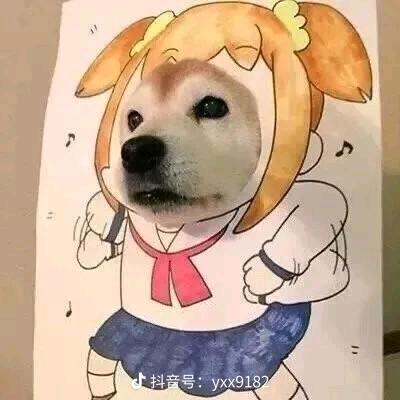 忧郁的小薯条🍟