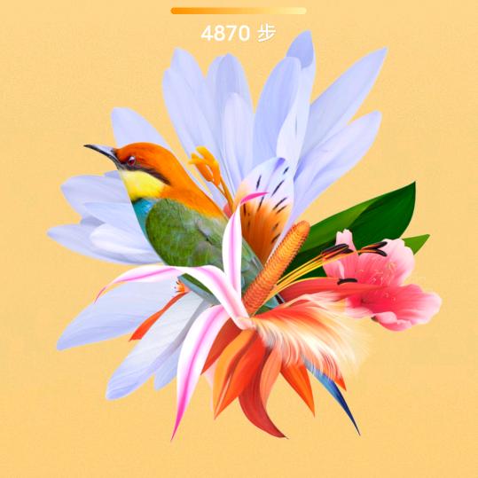 🦋এ᭄我姓ꦿ胡💔不幸福ོ࿐ᩚ