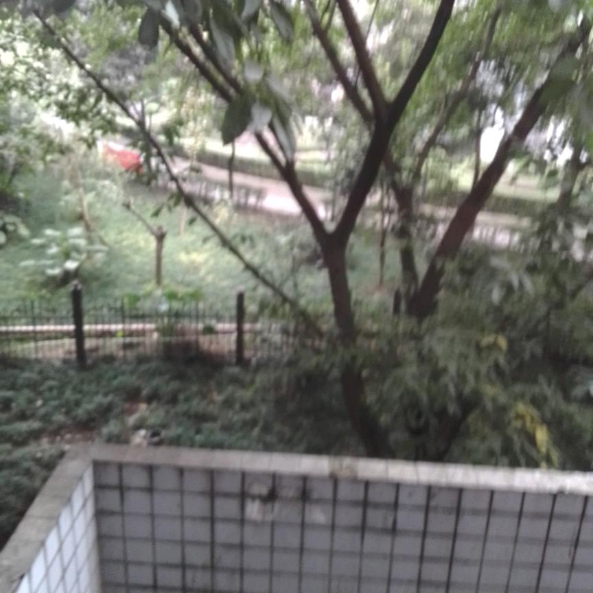程显奎