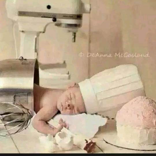 蛋糕叔叔（阿远）熊猫来了