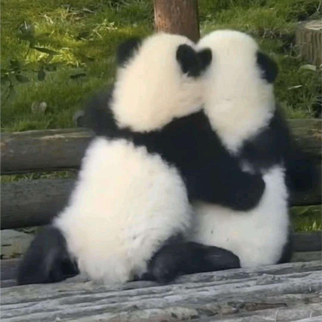 非精致利己主义者