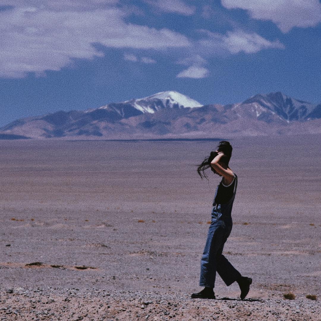 Fishood鱼子鱼 🐟