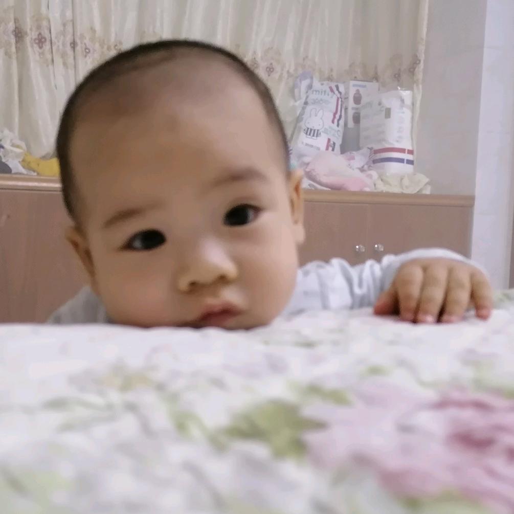 安猪啦BB(欣欣🐷)