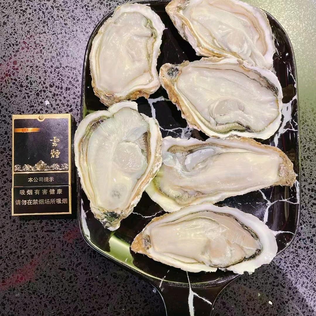 南海码头