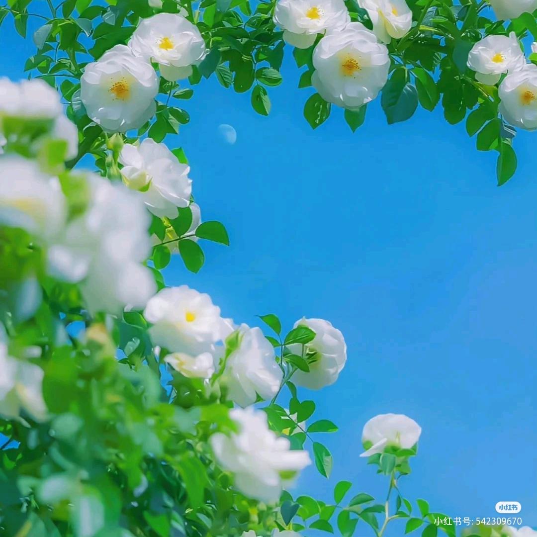 韦舀:)韬