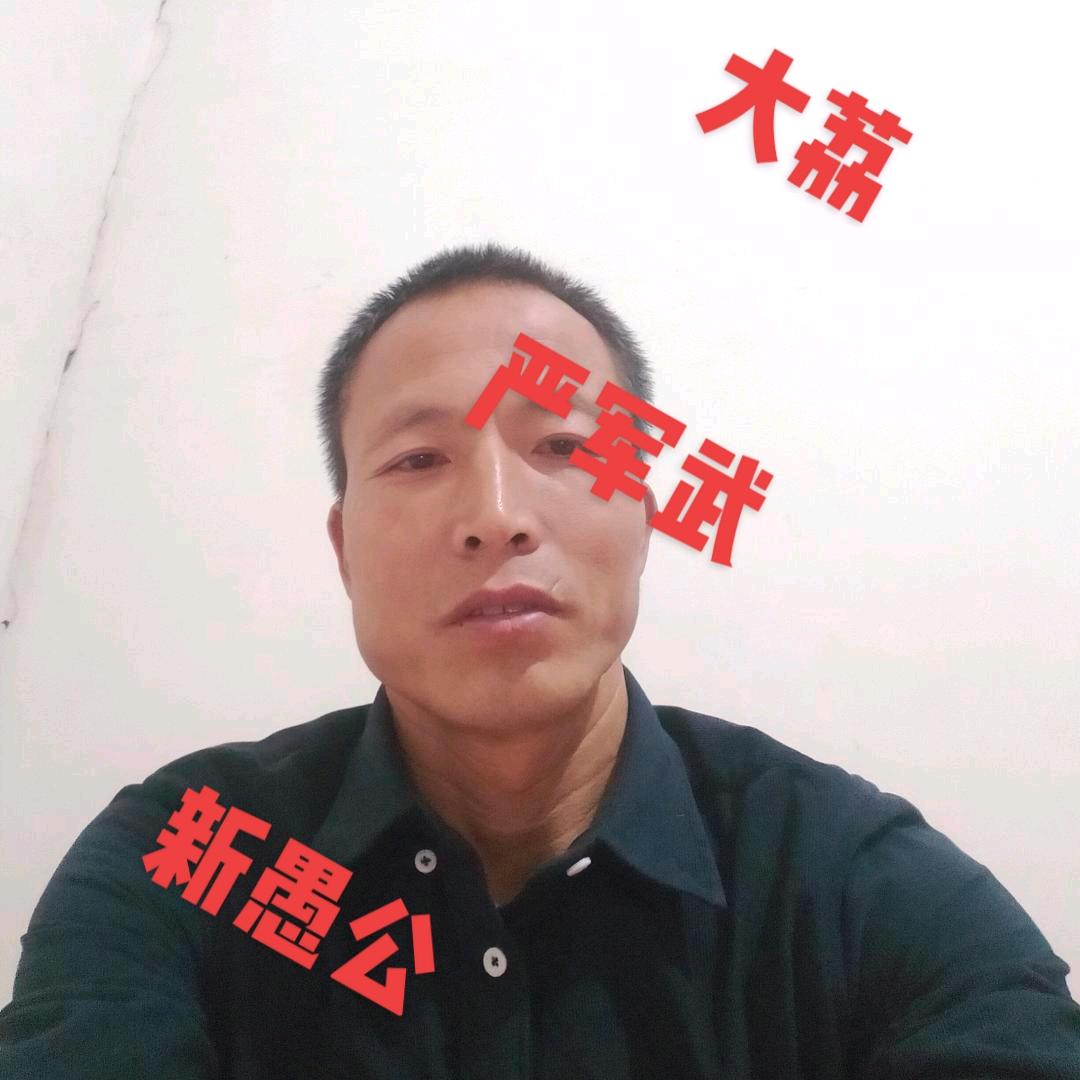 大荔严军武（新愚公）