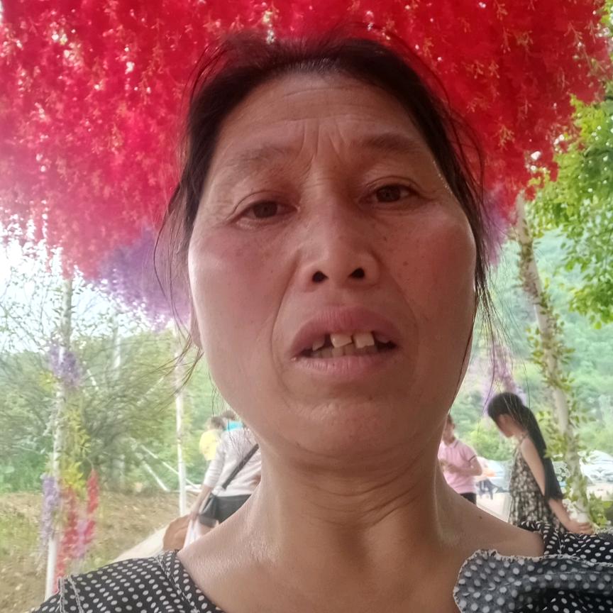 开开心心的努力