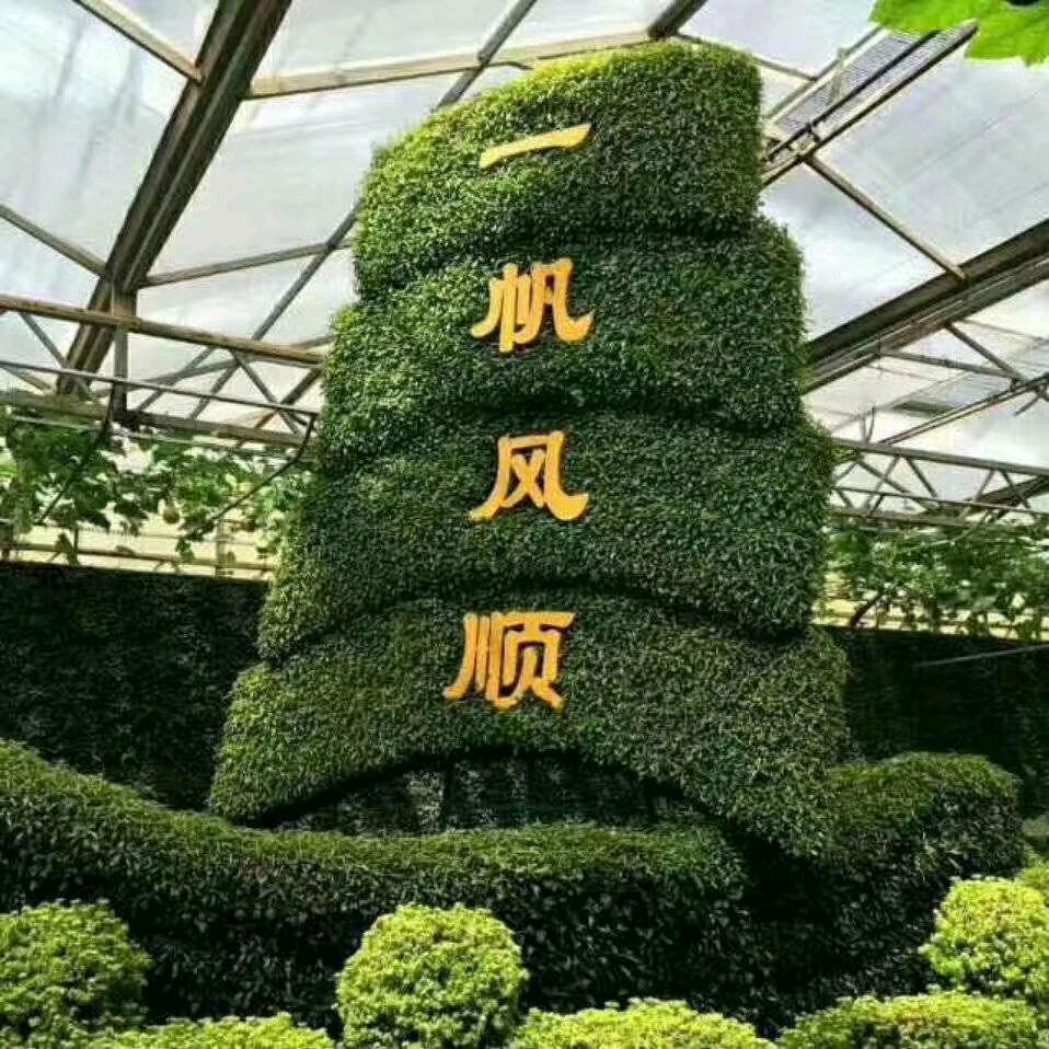 多多∽∽