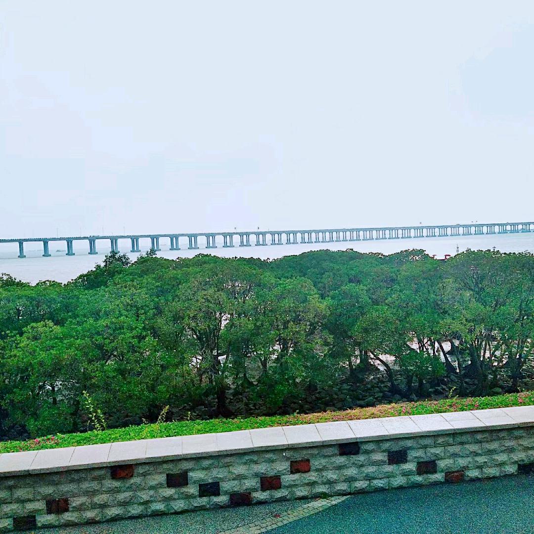 美丽（🌸🌸）