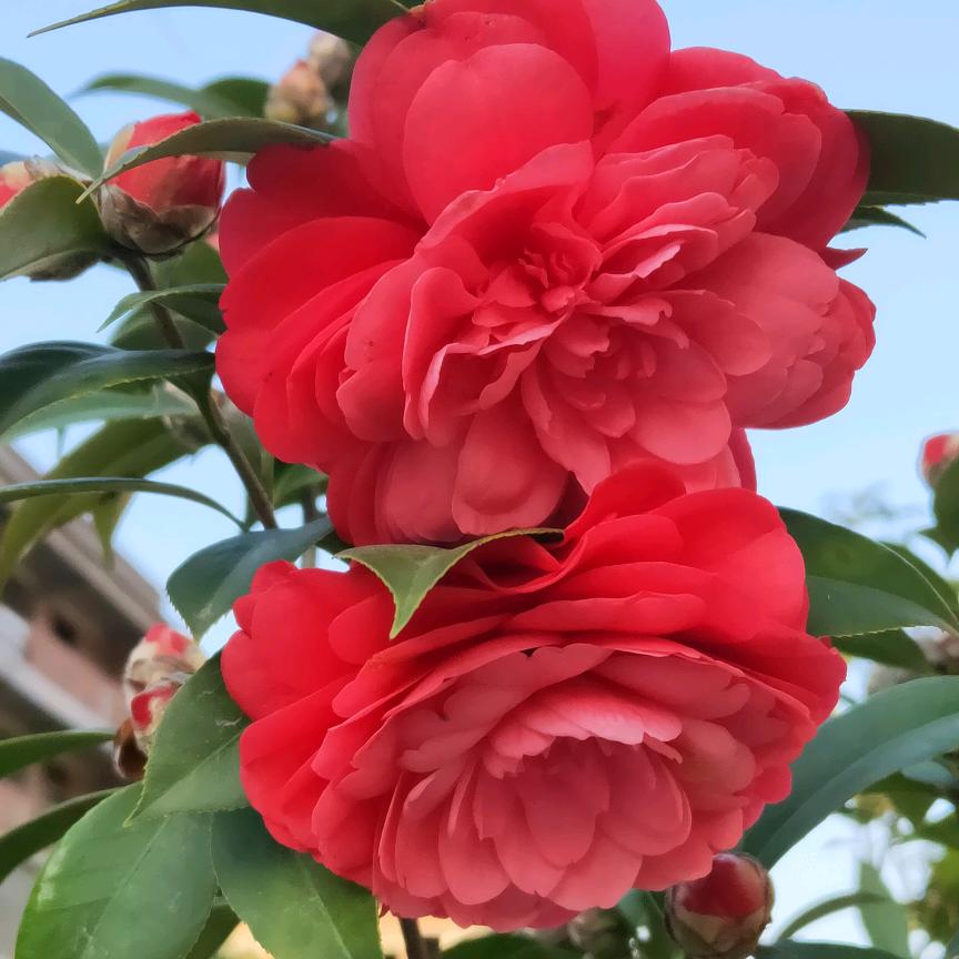 💗陈⁵²⁰༒ۣ裴¹³¹⁴