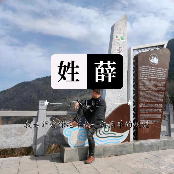 傻子爱上疯子