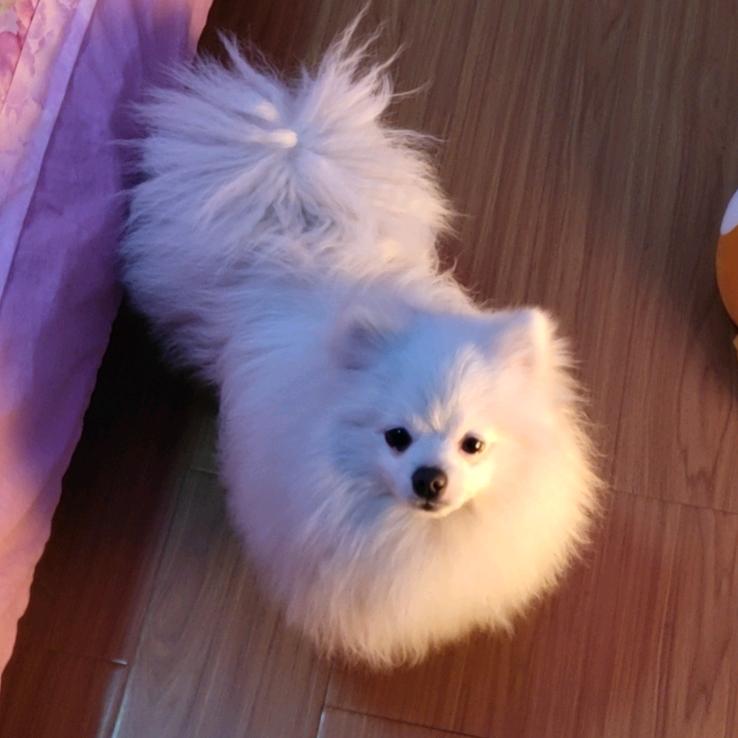 七月