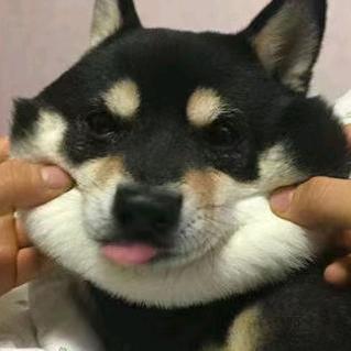 橙易训