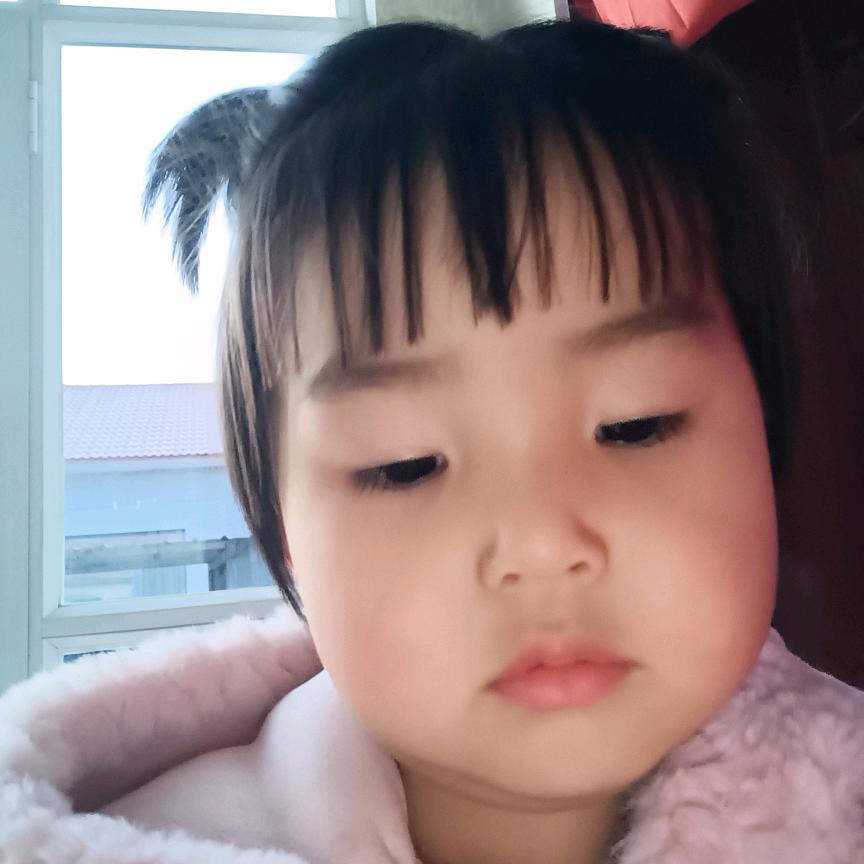 春暖朝侠