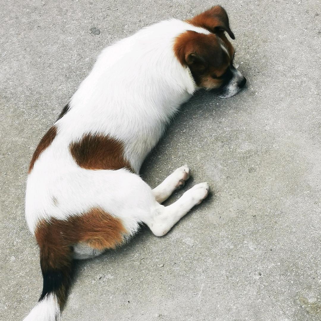 浮云小姐姐