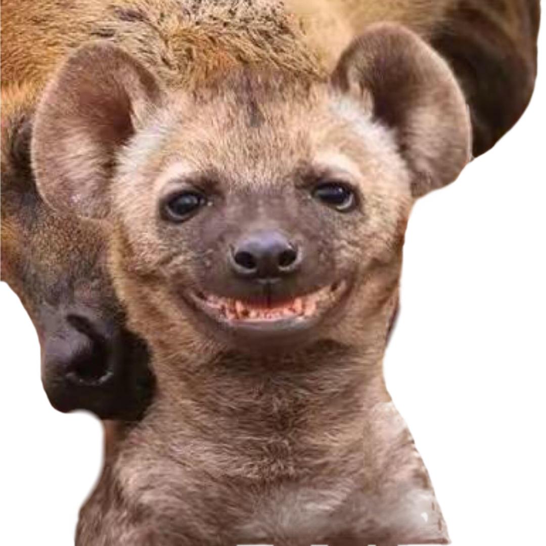 小咔啦咪影视@抖音