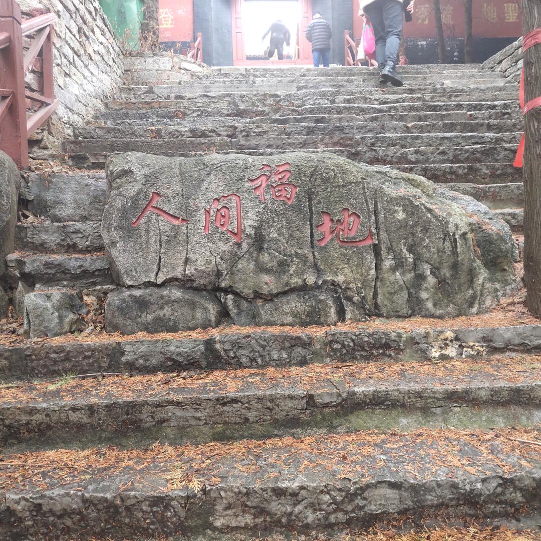 风雨之后