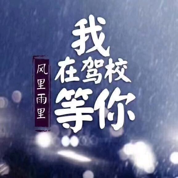 学车驾校私人教练