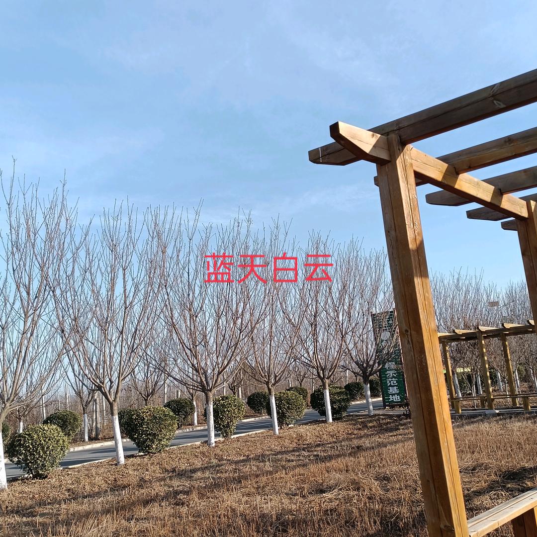 美景如初