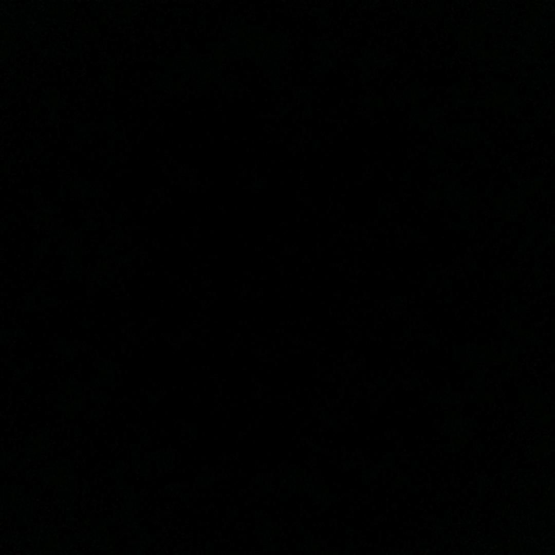 飞翔