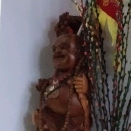 林木木