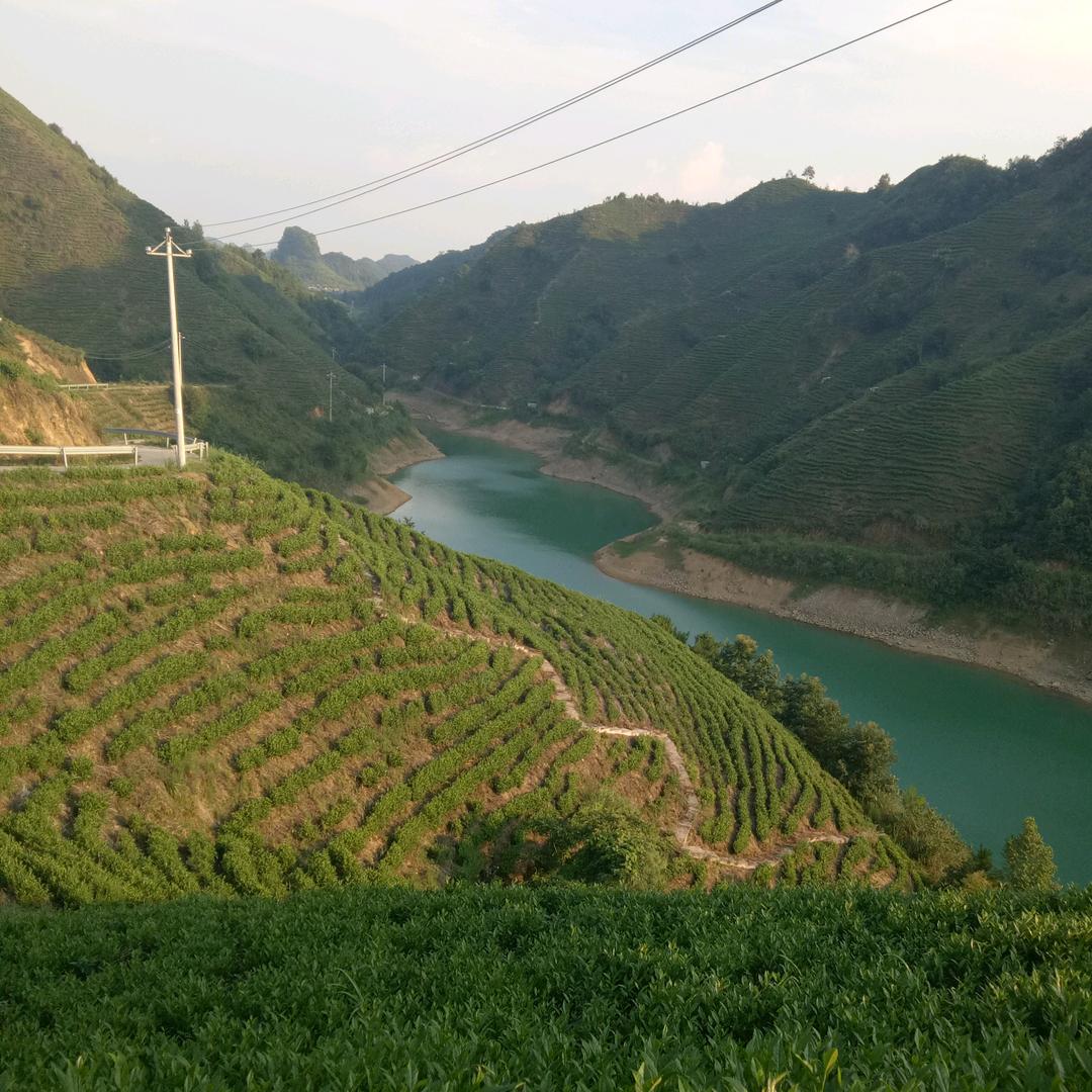 高兴