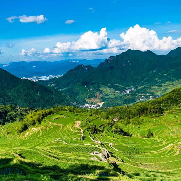 远方的一束光（拒绝私聊）