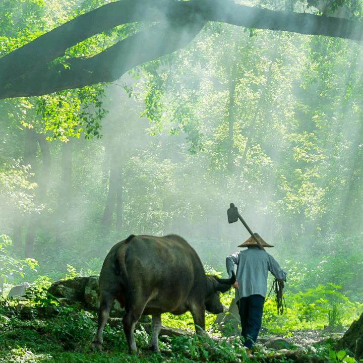 人生苦短，知足常乐！