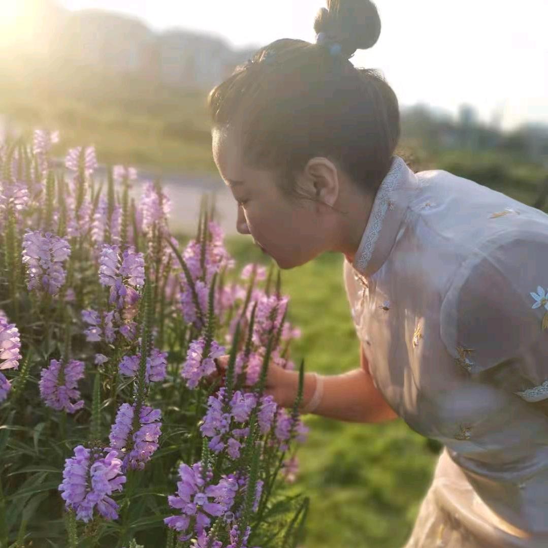 阳光正暖，微风徐徐……