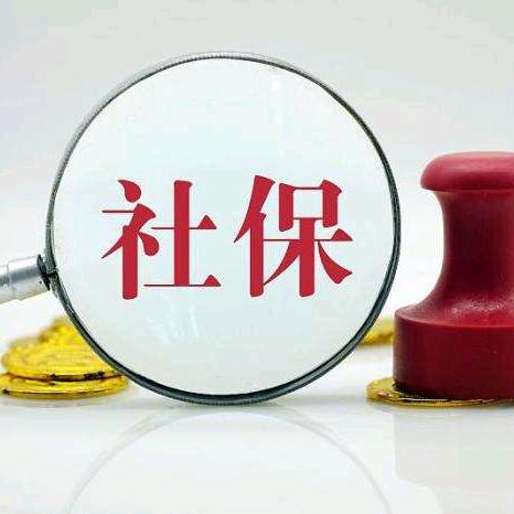 丽丽说社保
