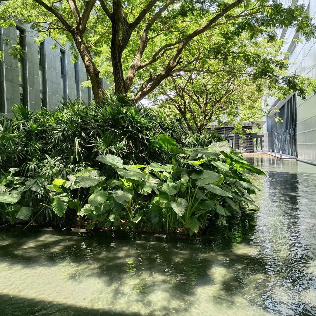 懵懂
