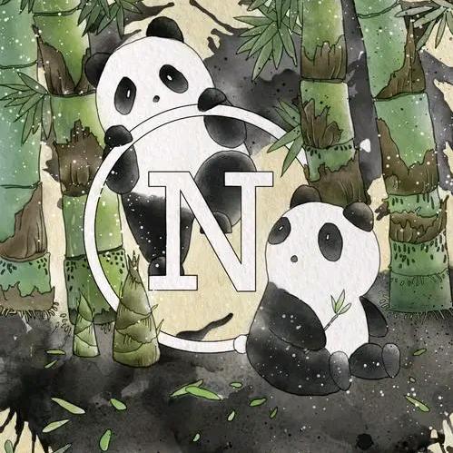 初月天星