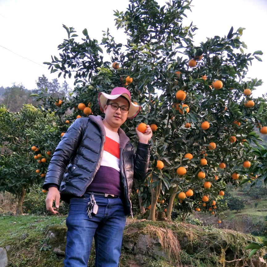 鲁大师苗圃(兼货车运输)