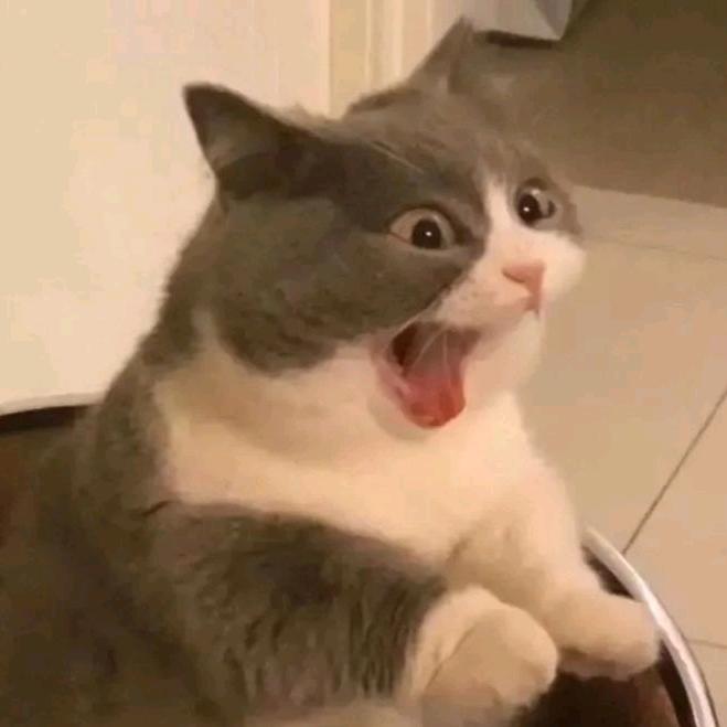 痴情土狗