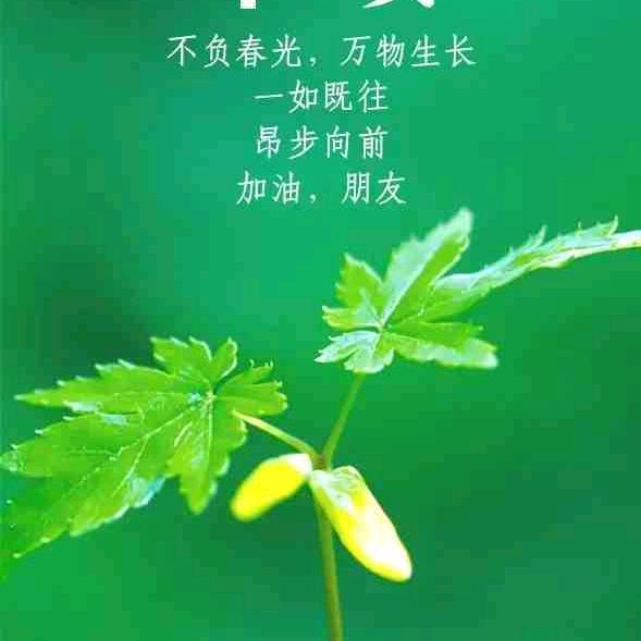 用户911149