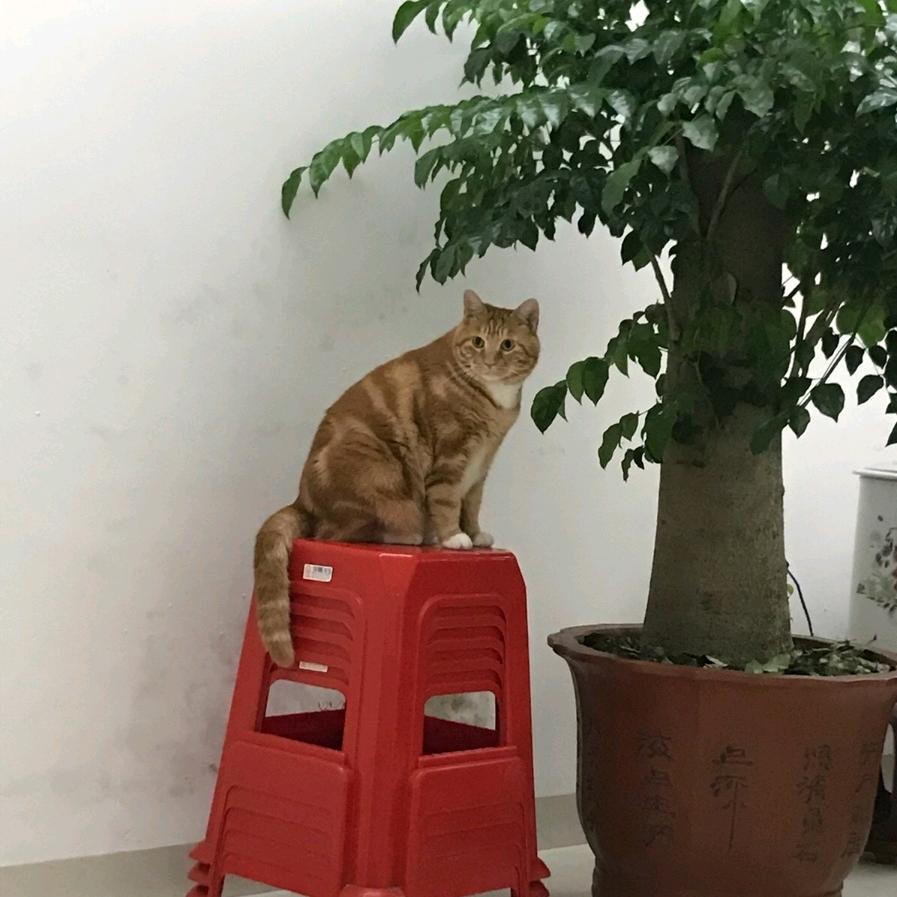 深深