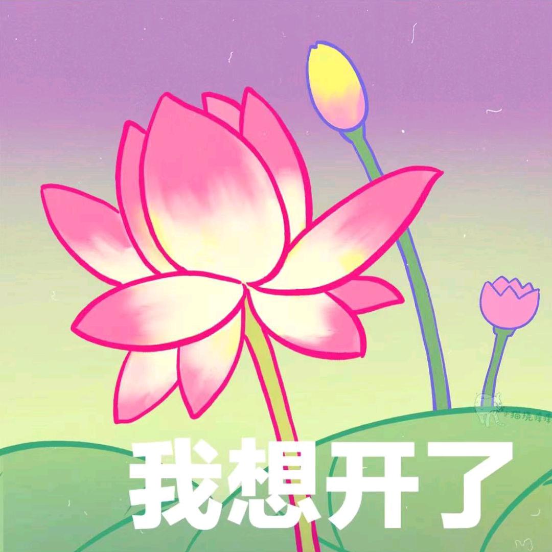 老张不嚣张：学习中