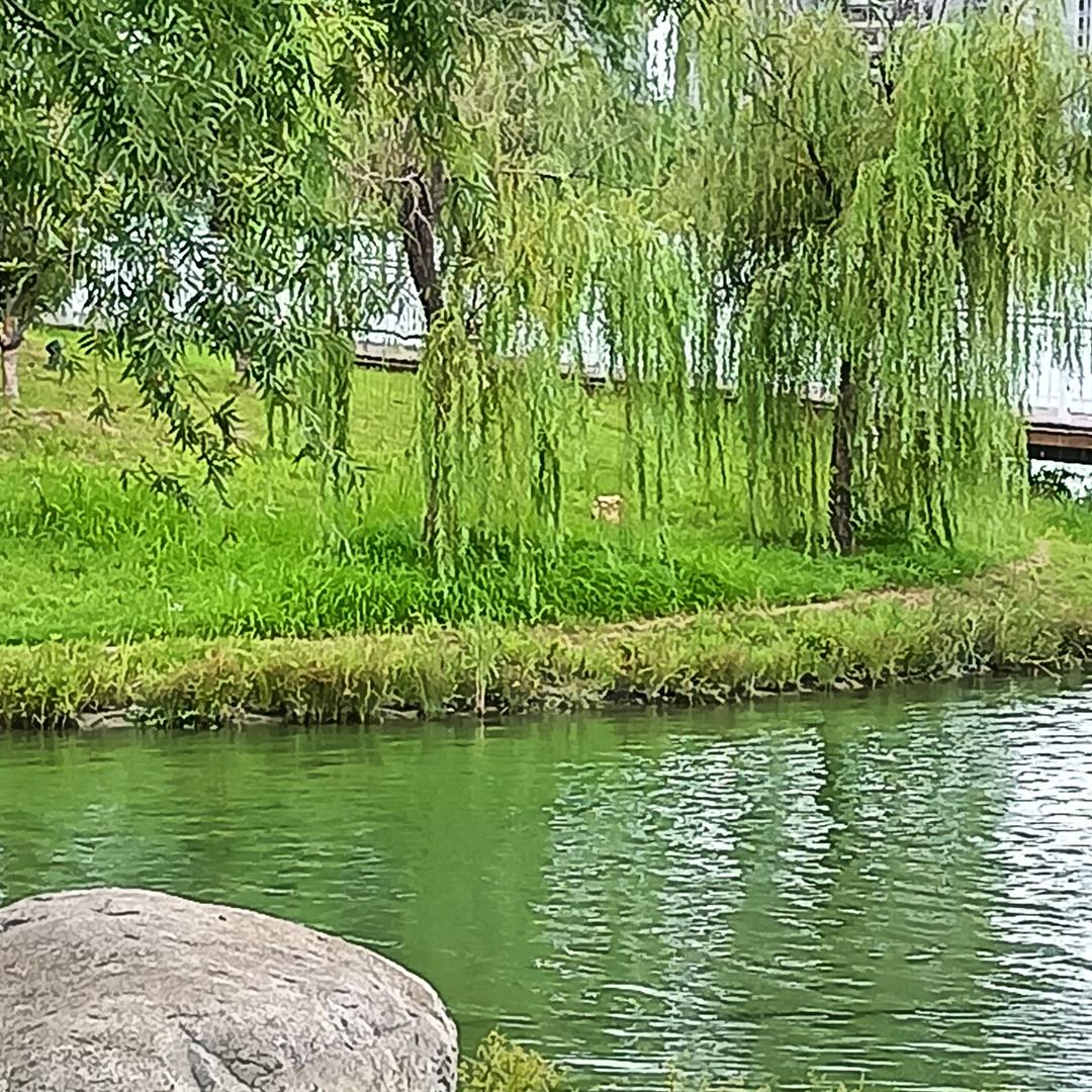 დ᭄℘秋꧔秋꧔ꦿ℘⸙