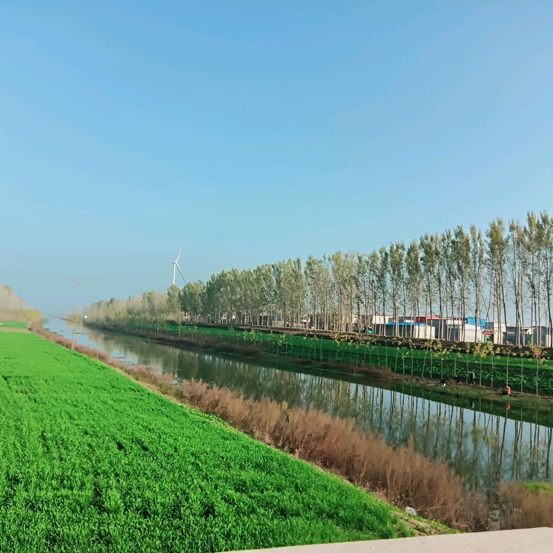 用户5021438134631雨后彩虹