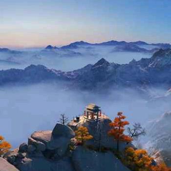 青青子吟，悠悠吾心头像