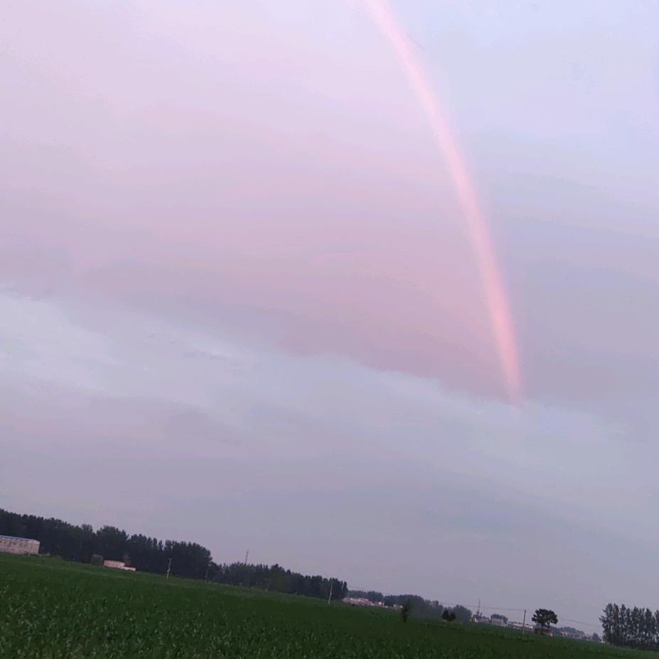 下半生一定要幸福