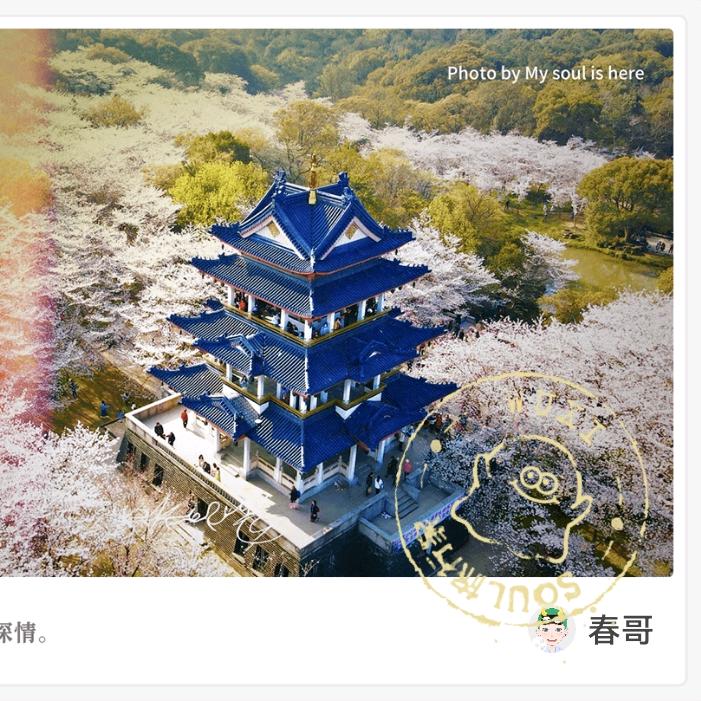 花开花会落