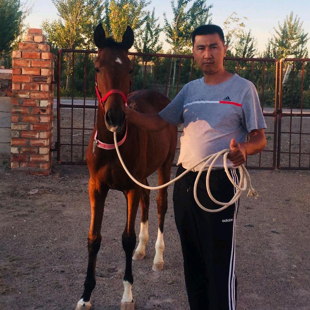 苏亚尼西🐎