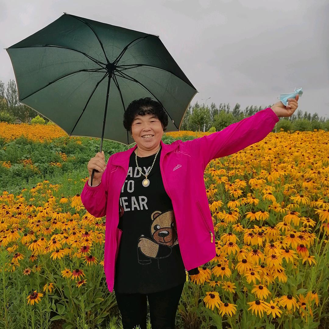 秀芝