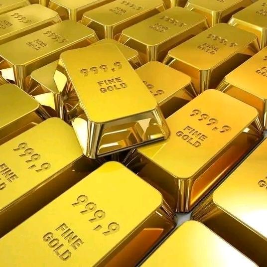 汕头黄金毛经理