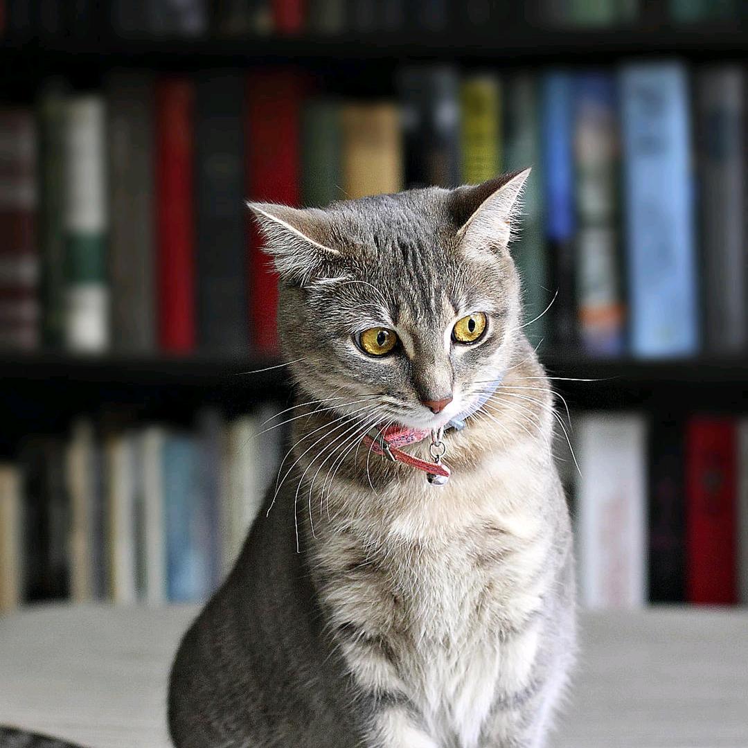 竹乡人――阿锋