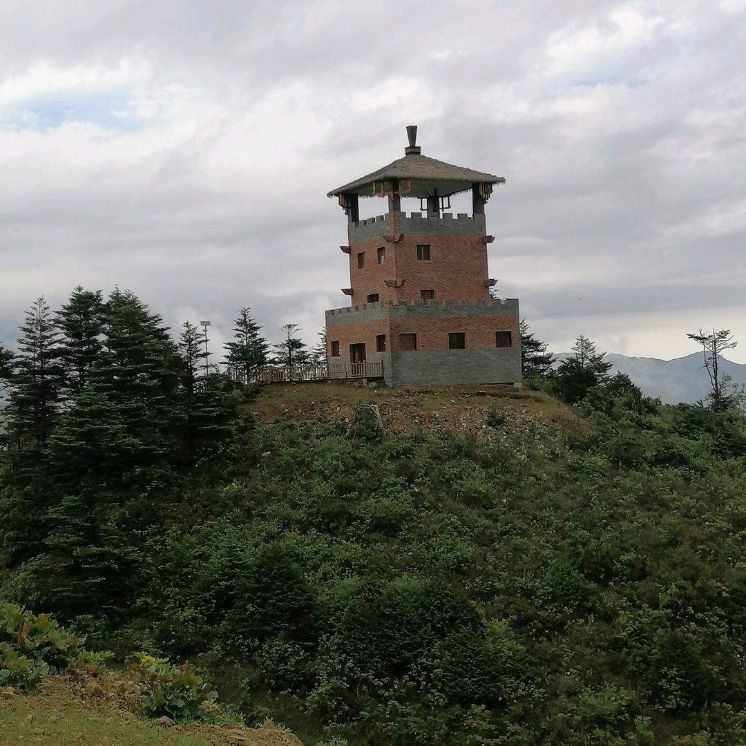 比布集团